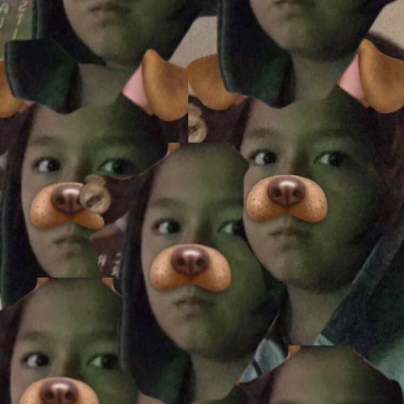 Meet your Posher, Gilberto - Picture 1 of 1